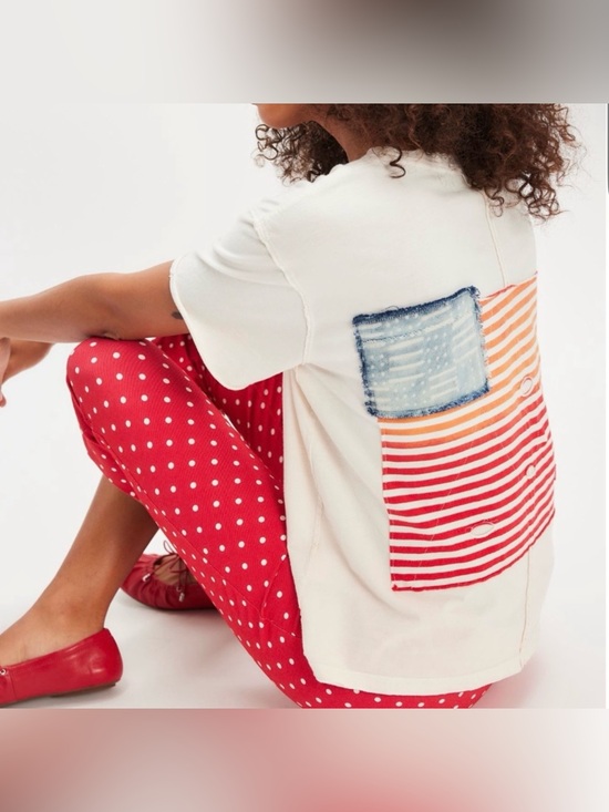 Tricia Fix Tops - NWOT Free People x Tricia Fix Americana Tee Shirt